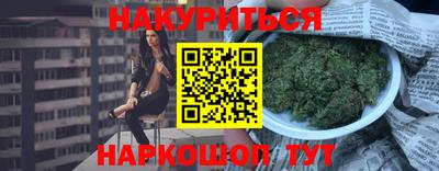 гидра Пенза