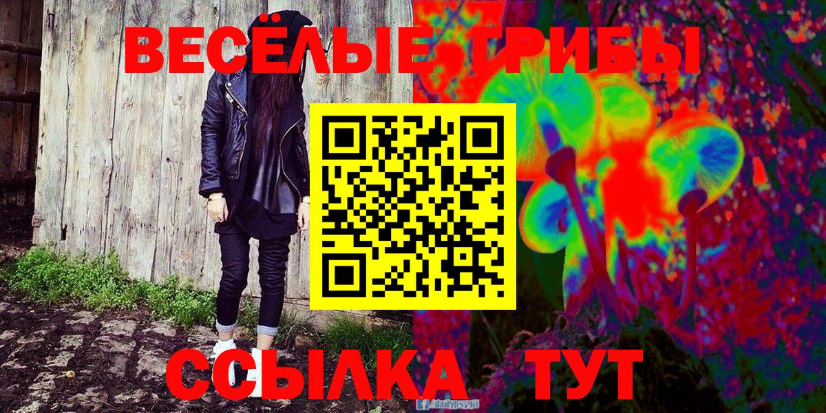Северск  Галлюциногенные грибы мицелий  Галлюциногенные грибы ЛСД  Вход с VPN 